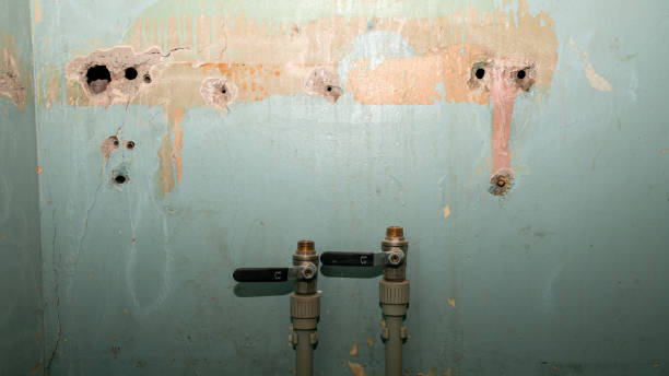 Best 24/7 water damage repair  in Rose Hill, VA