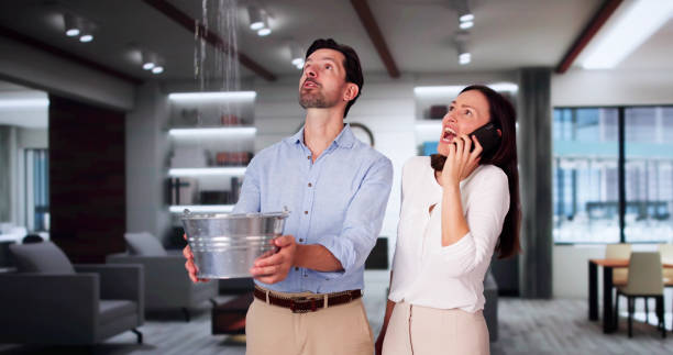 Best Professional water damage repair  in Rose Hill, VA