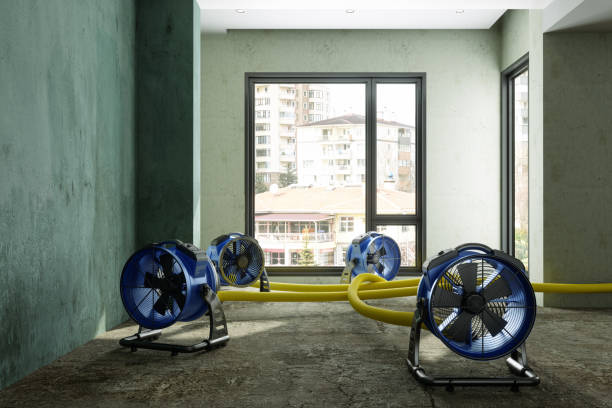 Best Local water damage restoration  in Rose Hill, VA