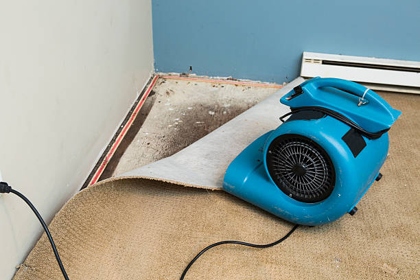 Best Residential water damage restoration  in Rose Hill, VA